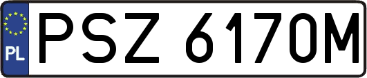 PSZ6170M