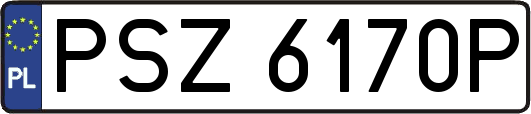 PSZ6170P