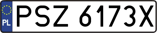 PSZ6173X
