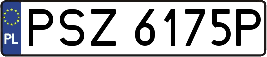 PSZ6175P