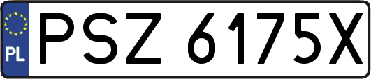 PSZ6175X