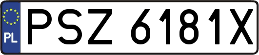 PSZ6181X