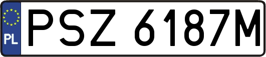 PSZ6187M