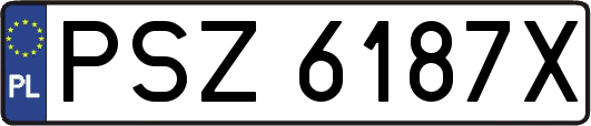 PSZ6187X
