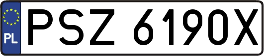 PSZ6190X
