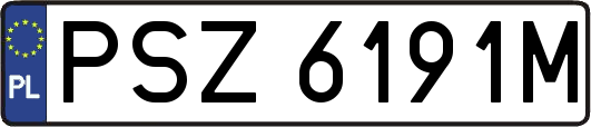PSZ6191M