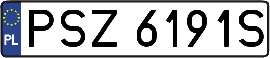 PSZ6191S