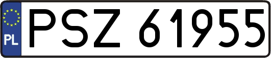 PSZ61955