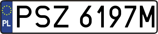 PSZ6197M