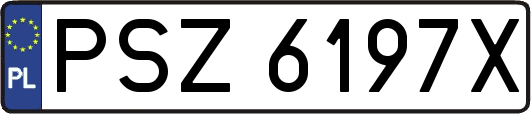 PSZ6197X