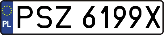 PSZ6199X