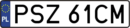 PSZ61CM