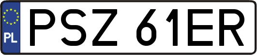 PSZ61ER