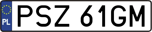 PSZ61GM