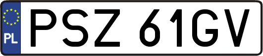 PSZ61GV