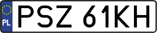 PSZ61KH