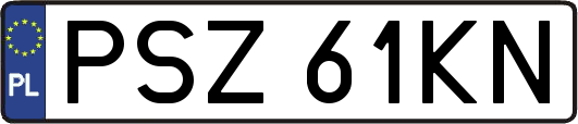 PSZ61KN