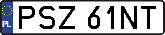 PSZ61NT