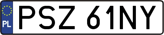 PSZ61NY