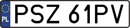 PSZ61PV