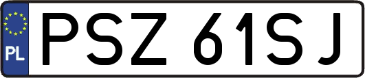 PSZ61SJ