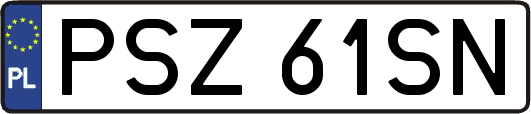 PSZ61SN