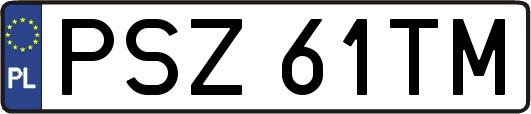 PSZ61TM