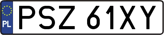 PSZ61XY