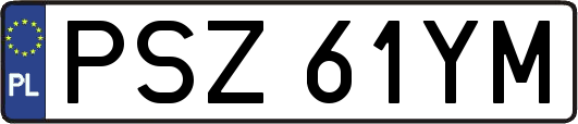 PSZ61YM