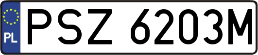 PSZ6203M