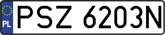 PSZ6203N