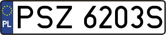 PSZ6203S