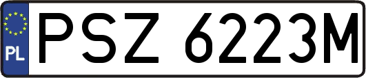 PSZ6223M