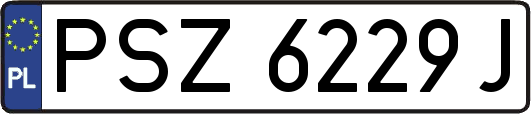 PSZ6229J