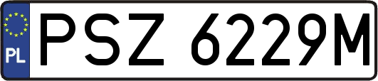PSZ6229M