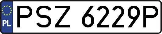 PSZ6229P