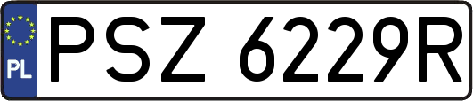 PSZ6229R