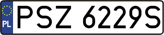 PSZ6229S