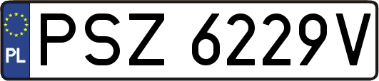 PSZ6229V