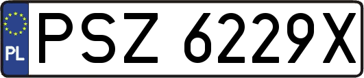 PSZ6229X