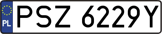 PSZ6229Y