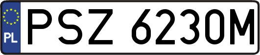 PSZ6230M