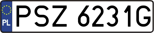 PSZ6231G
