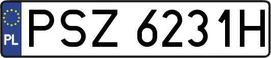 PSZ6231H