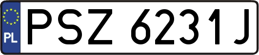 PSZ6231J