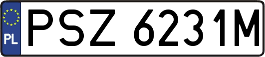 PSZ6231M
