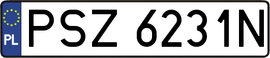 PSZ6231N