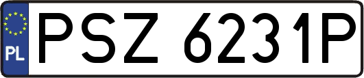 PSZ6231P
