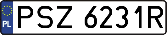 PSZ6231R