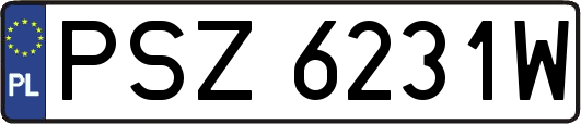 PSZ6231W